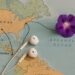Focus on a map showing Nigeria and the U.S., with a dotted line from Bayelsa to Texas to Maine, with a pair of earbuds or notebook lies on the map, and a purple Morning Glory petal rests on the page.