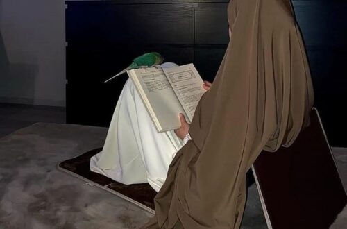 A Muslim woman in a simple hijab, seated on the floor of a modest room, reading the Quaran.